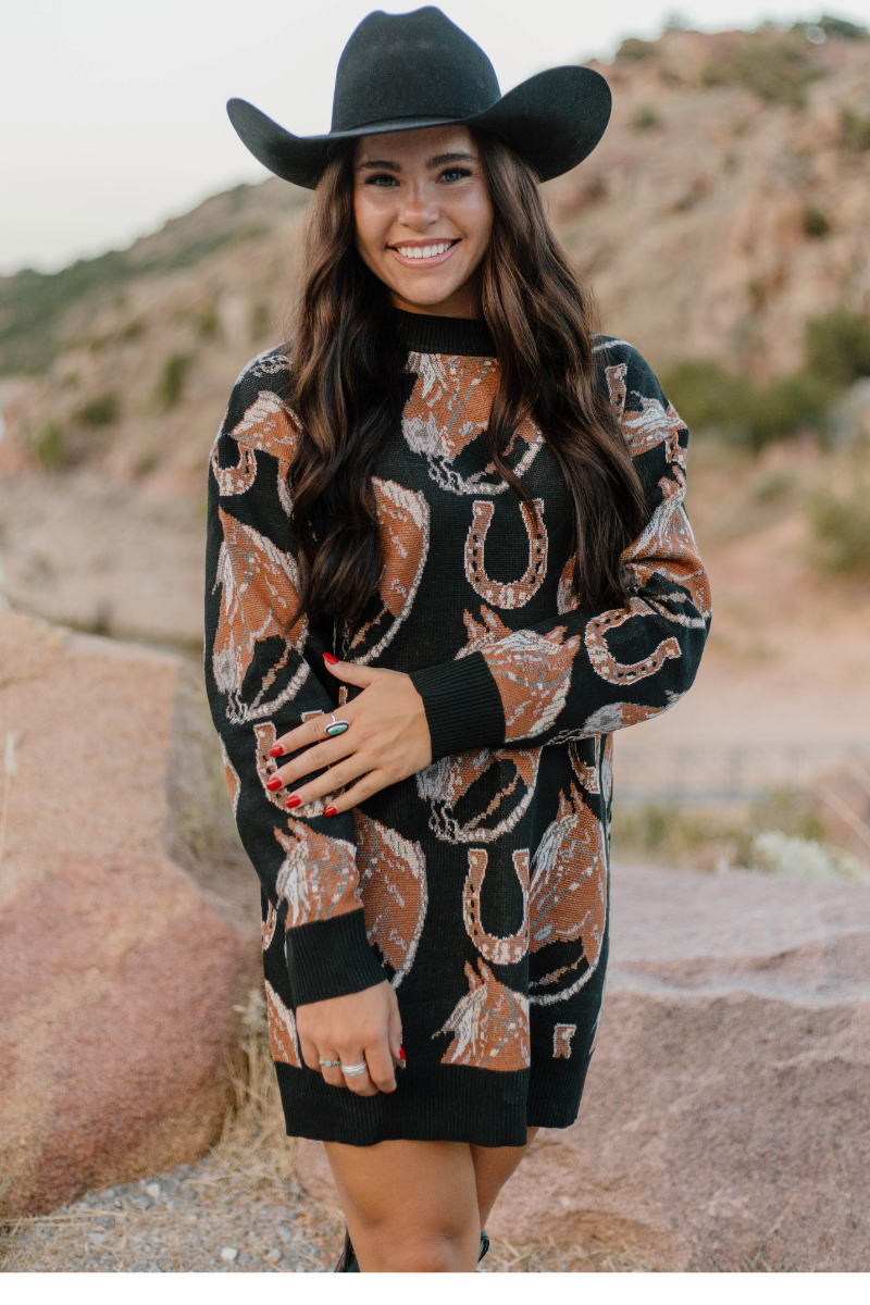 The Ruidoso Sweater Dress: S
