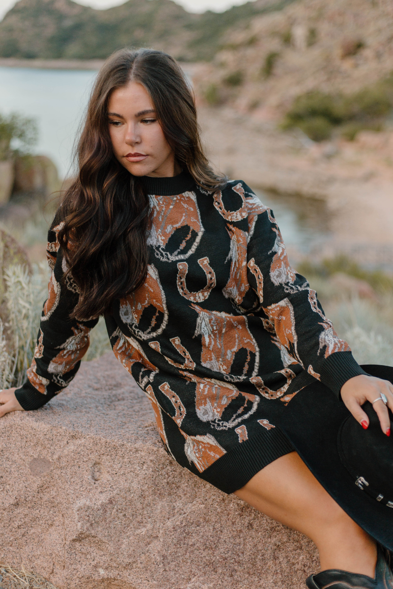 The Ruidoso Sweater Dress: S