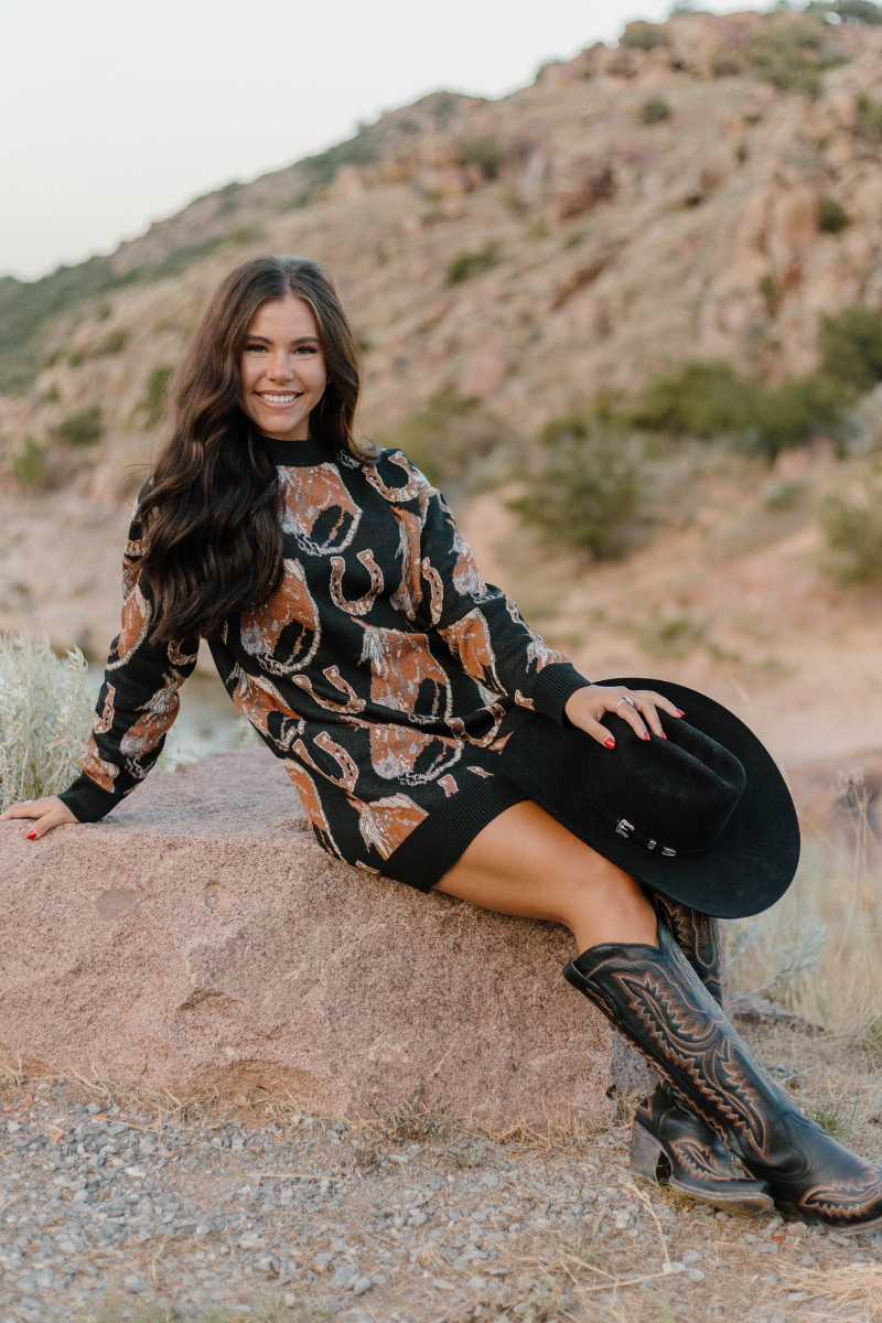 The Ruidoso Sweater Dress: S