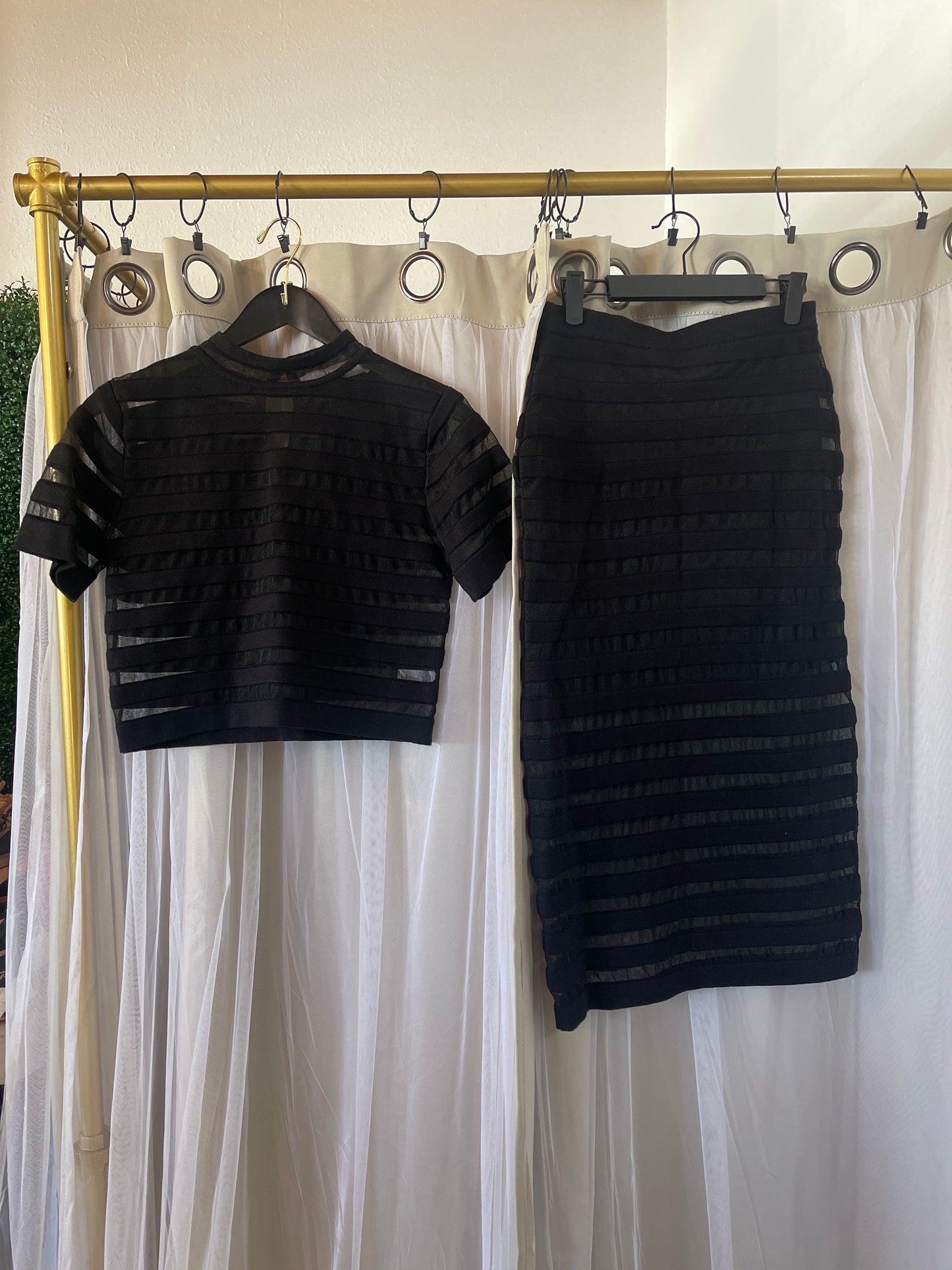 EBLuxe Mesh skirt and shirt