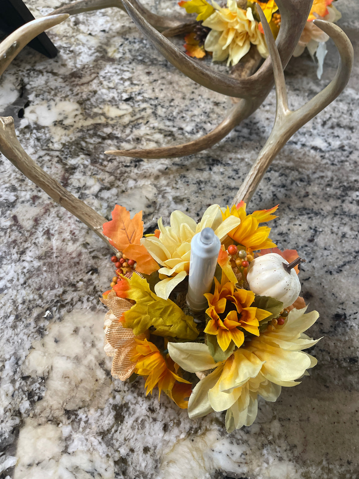 Antlers