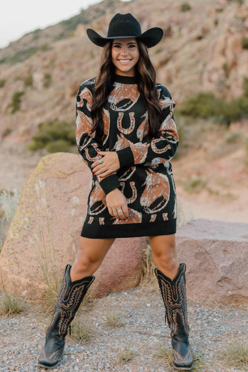 The Ruidoso Sweater Dress: S