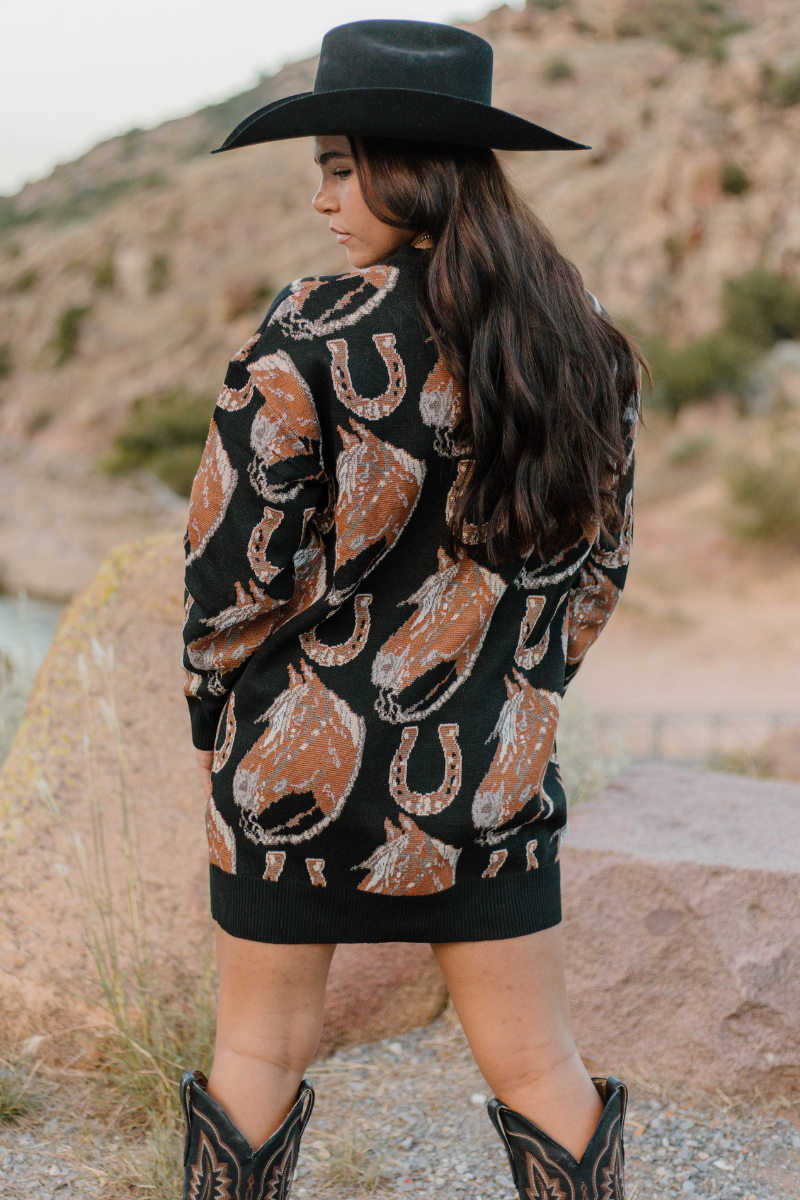 The Ruidoso Sweater Dress: S