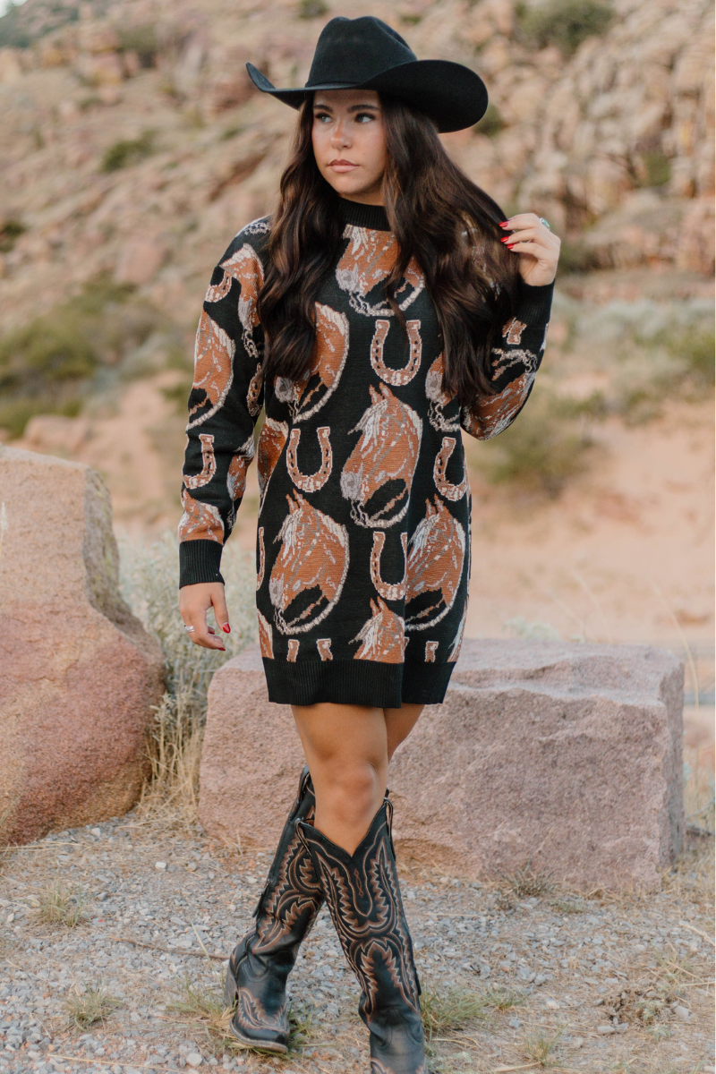 The Ruidoso Sweater Dress: S